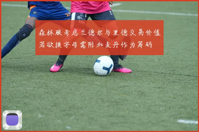 森林狼考虑兰德尔与里德交易价值若欲换字母需附加麦丹作为筹码