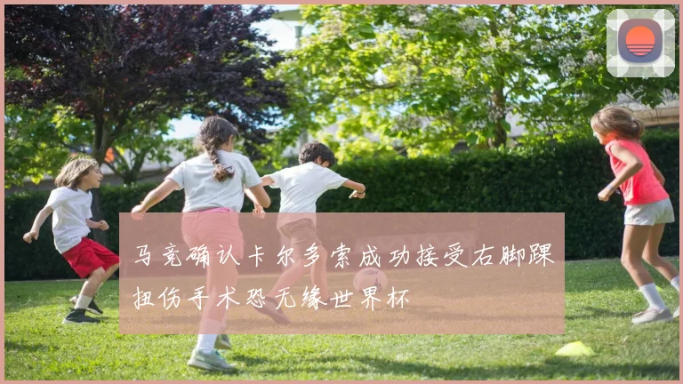 马竞确认卡尔多索成功接受右脚踝扭伤手术恐无缘世界杯
