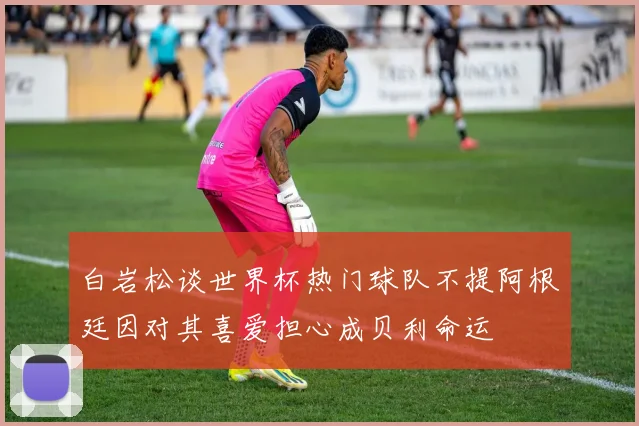 白岩松谈世界杯热门球队不提阿根廷因对其喜爱担心成贝利命运